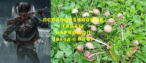 2c-b Ленск